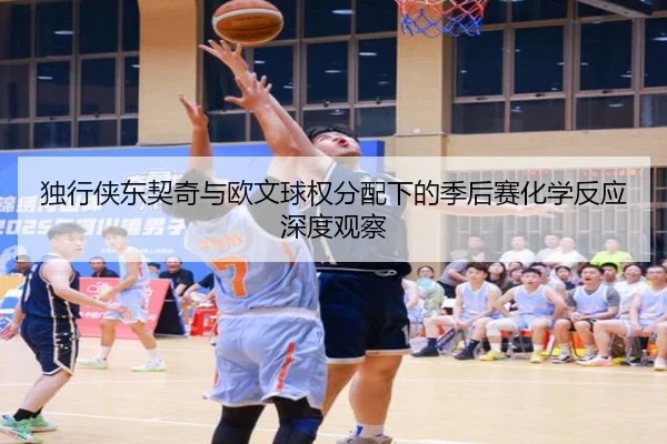 独行侠东契奇与欧文球权分配下的季后赛化学反应深度观察